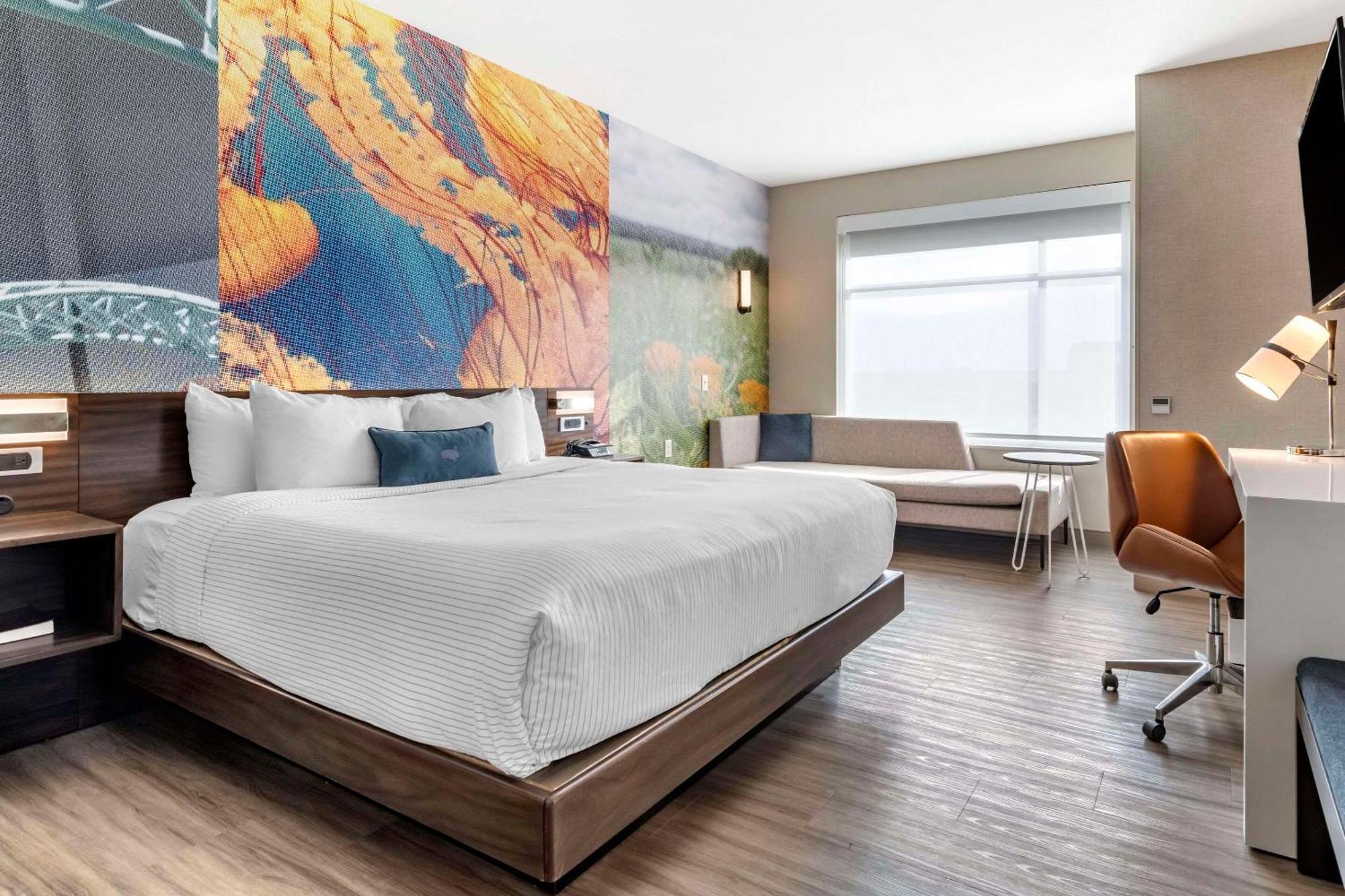 Cambria Hotel Bloomington Mall Of America Minneapolis Airport Экстерьер фото